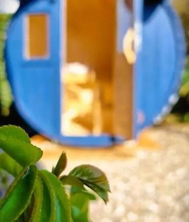 Bluenote בית נופש